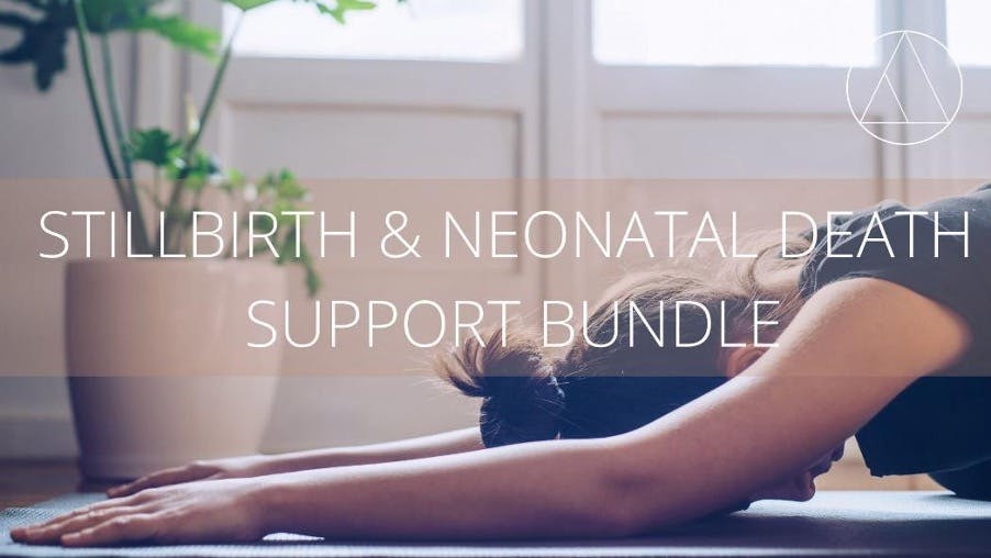  FLY Mama - Stillbirth and Neonatal Death Support Bundle (24+ WEEKS)